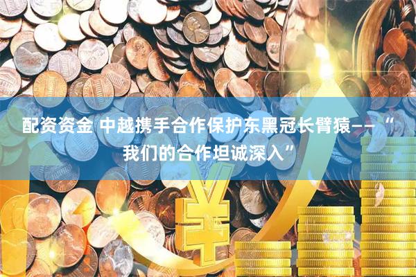 配资资金 中越携手合作保护东黑冠长臂猿—— “我们的合作坦诚深入”